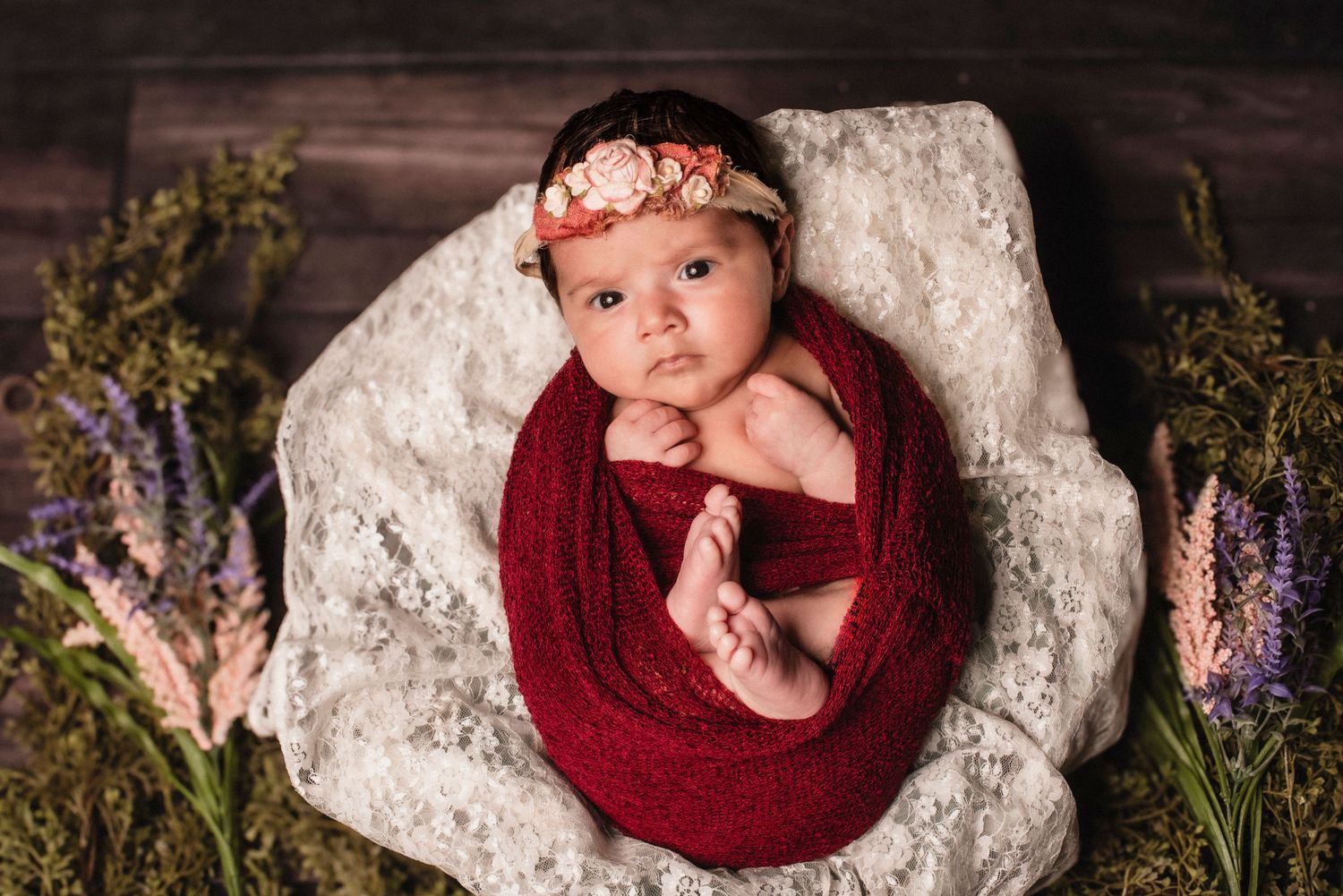 Newborn Portraits