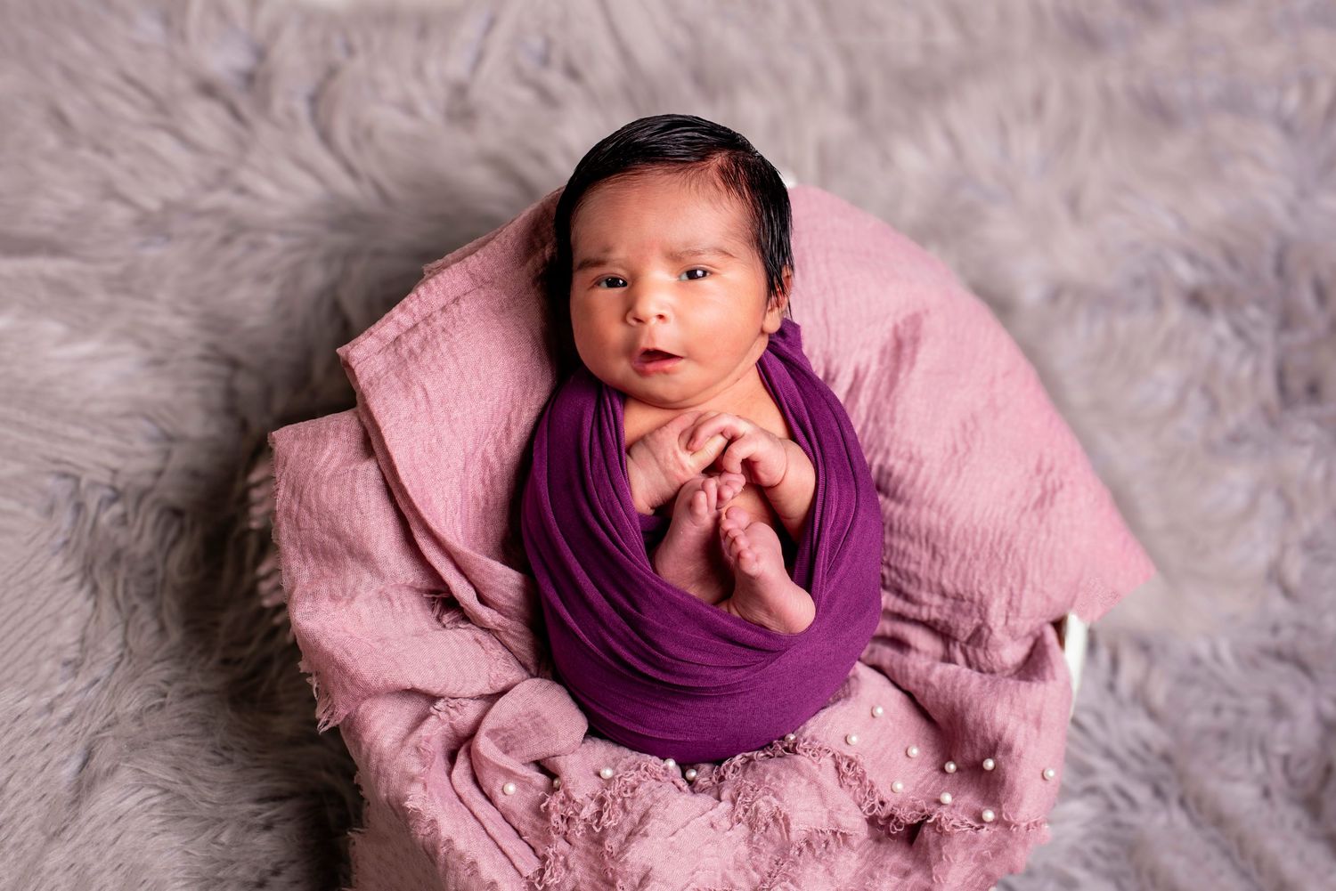 Newborn Portraits
