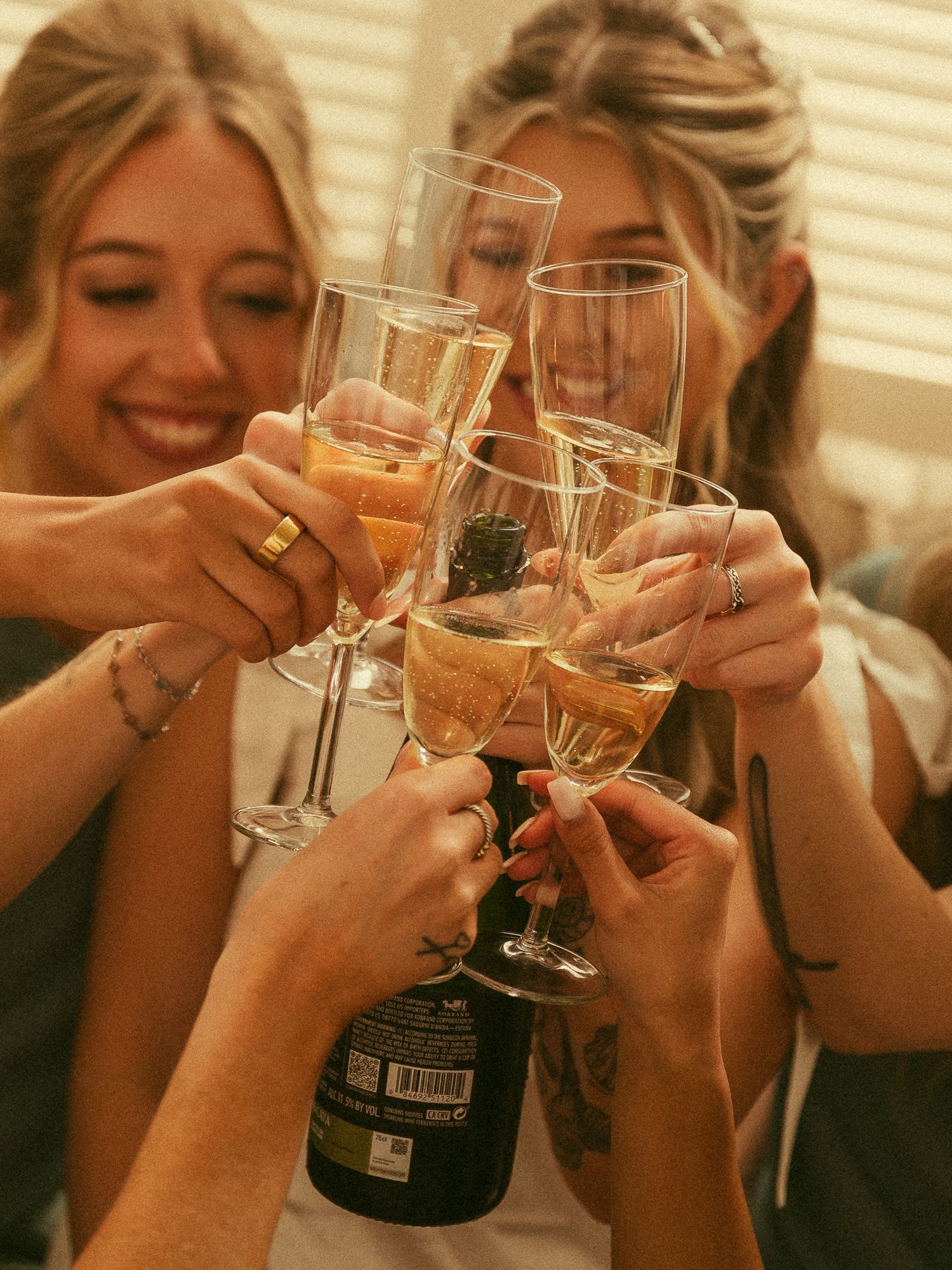 Group of smiling women toasting with champagne flutes at a celebration party.