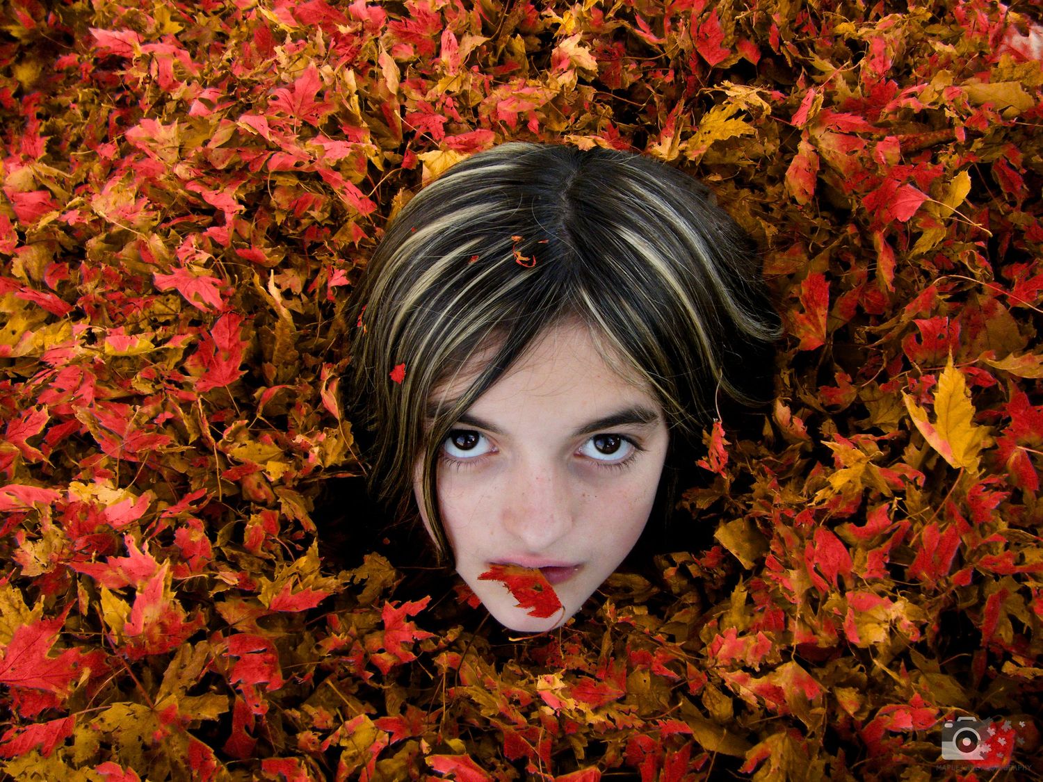 A creative autumn portrait surrounded by vibrant red and orange fall leaves.