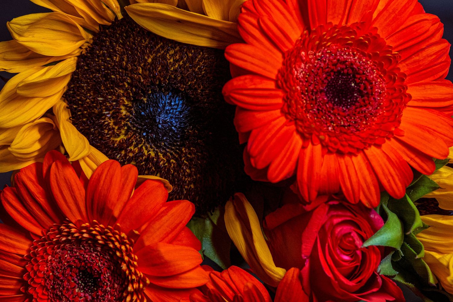 Close-up of vibrant sunflowers, red gerbera daisies, and roses in a colorful flower arrangement.
