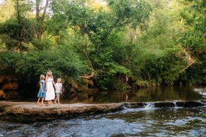 A scenic river with cascading waterfalls flows through lush green trees.