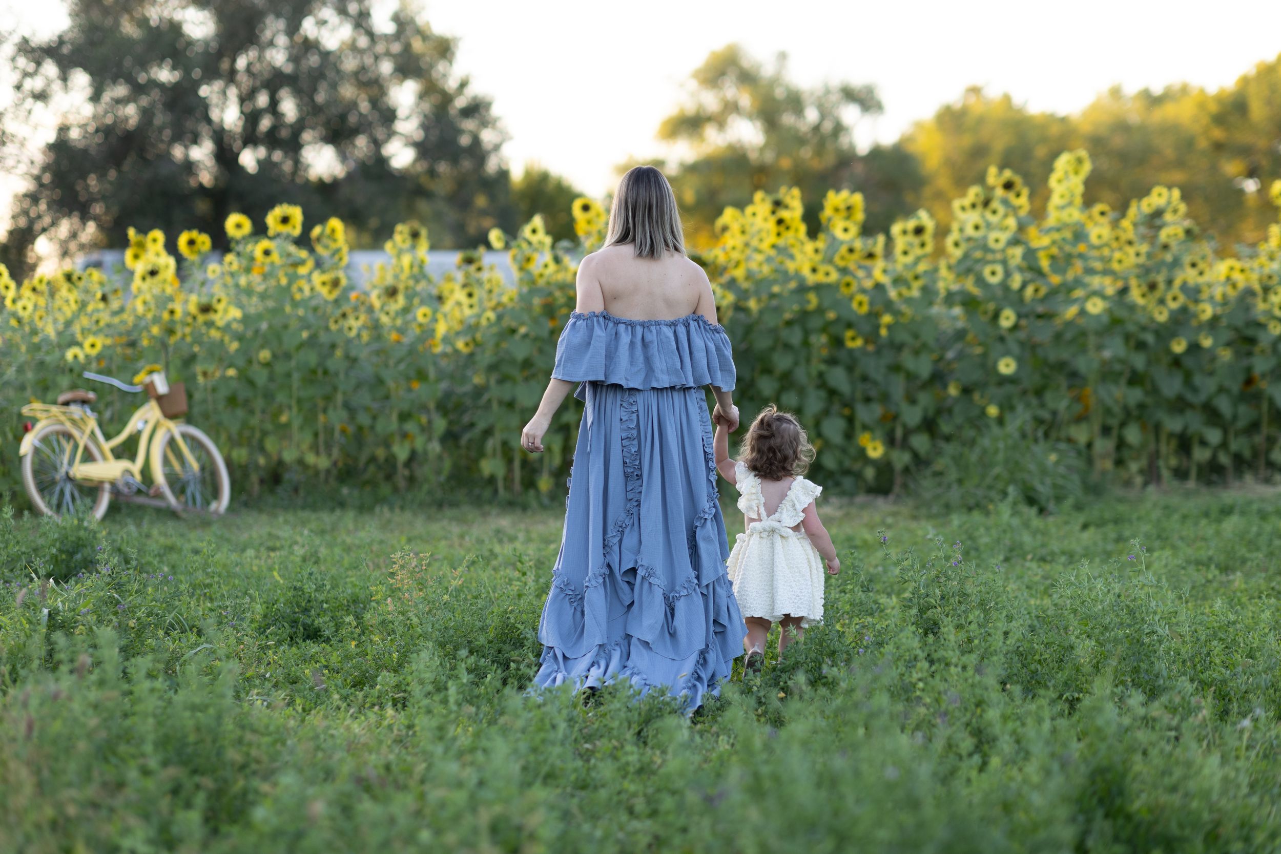 Two figures in flowing dresses walk together by a vibrant sunflower field at sunset with a vintage bicycle in background.