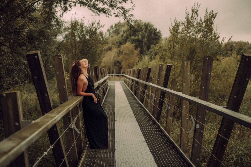 Atmospheric shots of a wooden footbridge through a misty forest.