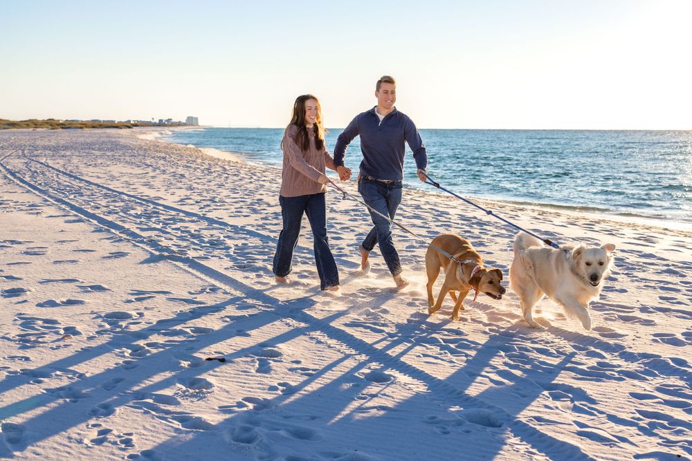 A couple and their dog walk along a snowy beach at sunset casting long shadows on the pristine white ground.