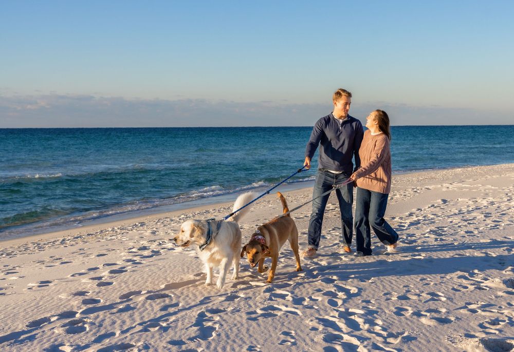 A couple enjoys a romantic sunset walk along a pristine white sand beach with their dog.