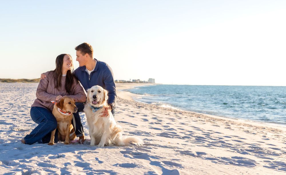 Couple and their golden retriever dog enjoying a romantic sunset moment at the beach.