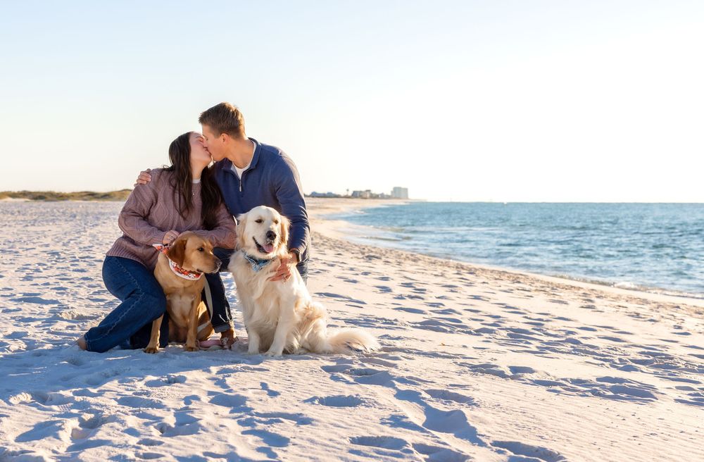 People and dogs enjoy a relaxing afternoon on a pristine white sandy beach at sunset.