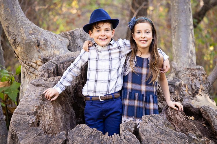 Twins pose playfully in a tree stump during their family photo session during golden hour.