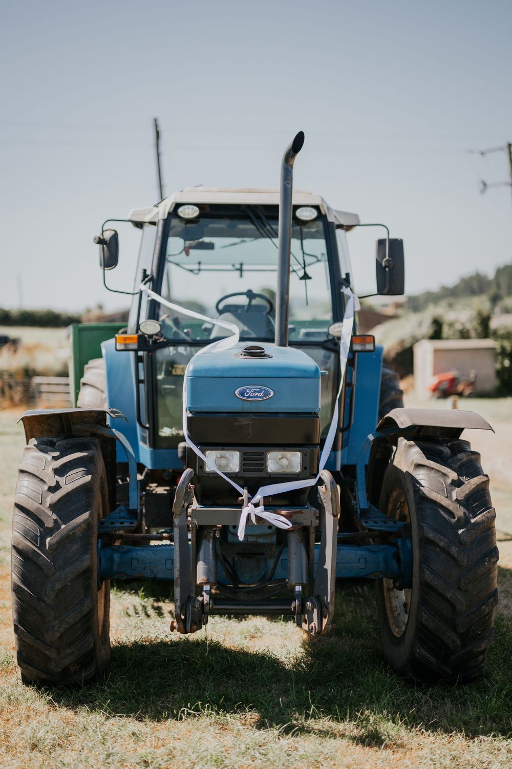 Front view of a blue Ford tractor decorated with a white wedding bow parked on grass in bright sunlight.