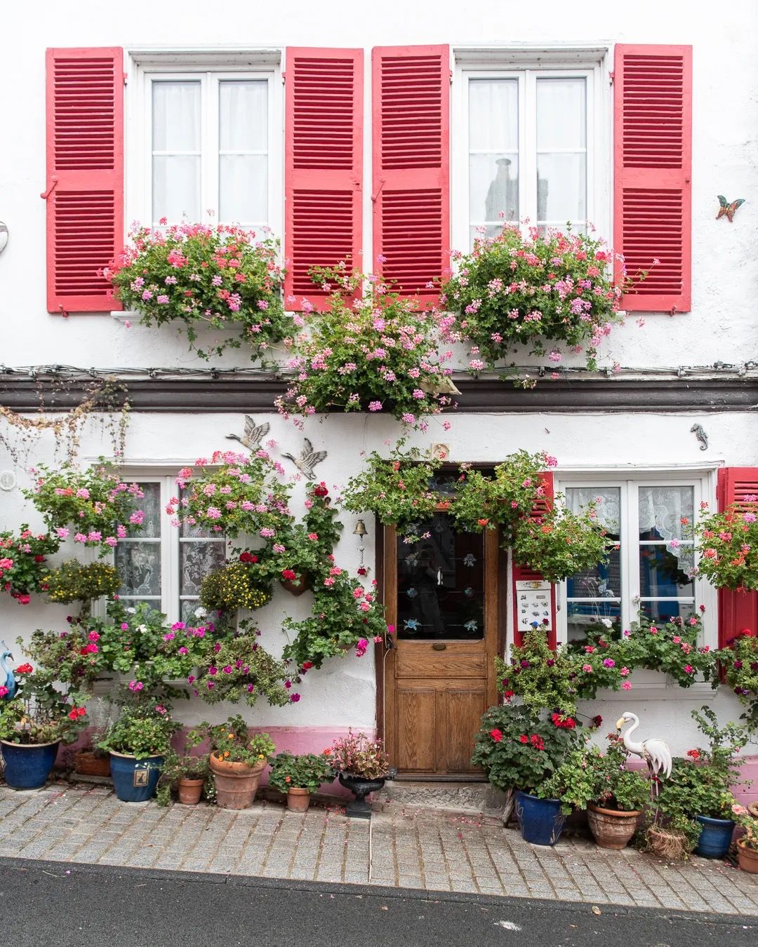 Pink-shuttered house with a flower-filled entrance and lush greenery.