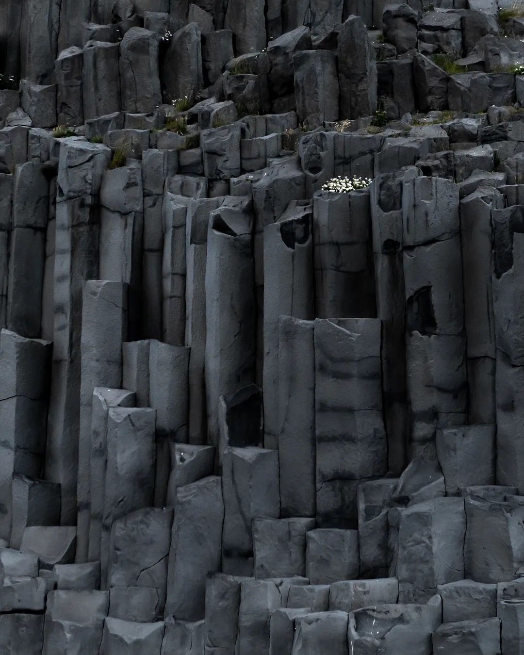 Tall basalt column cliffs with geometric rock formations at the shoreline.