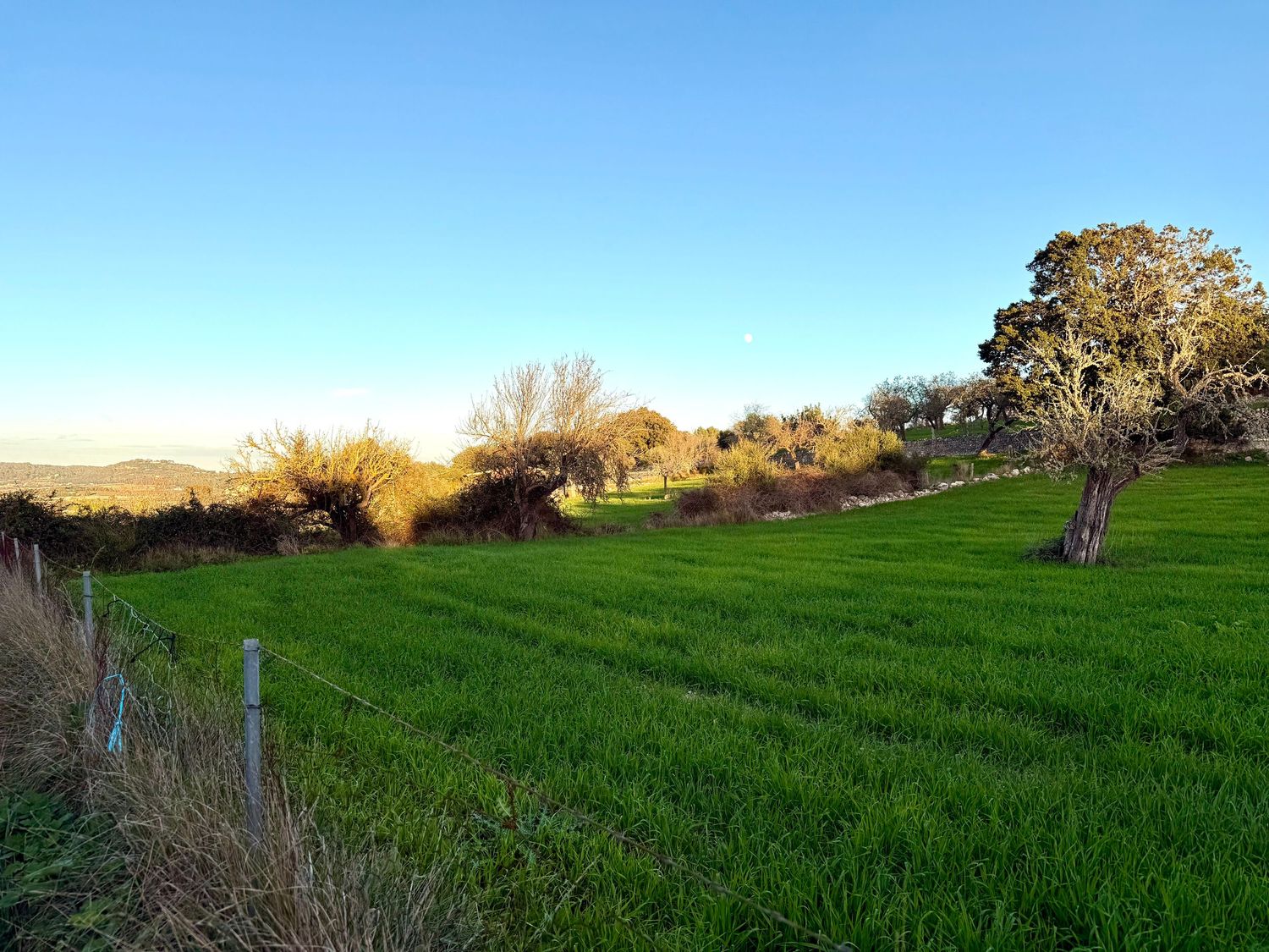 A panoramic view of lush green farmland with rolling hills and scattered trees stretches across the horizon.