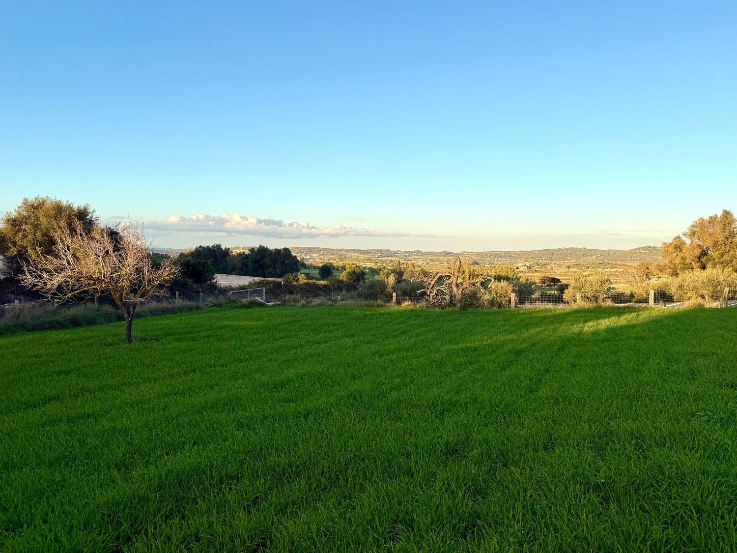 Panoramic sequence of lush green agricultural fields against rolling hills and blue sky in rural landscape.