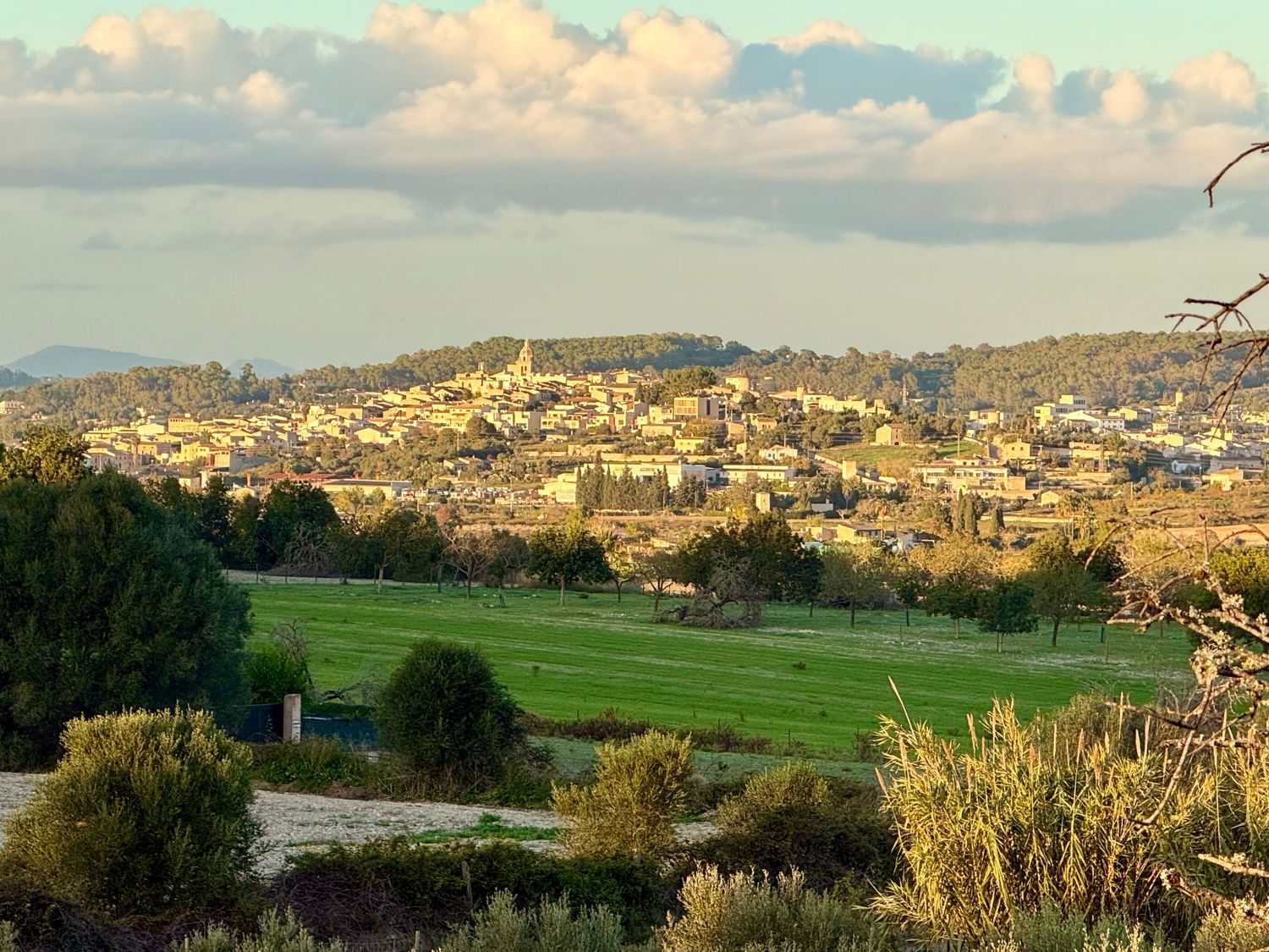 Panoramic view of a hillside city with green fields and mountains in the background under cloudy skies.