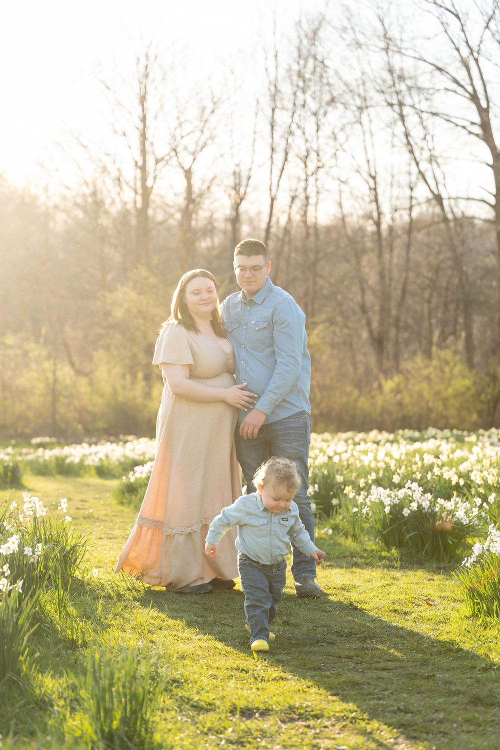 Family with pregnant mother, father, and toddler in a sunny spring daffodil field.