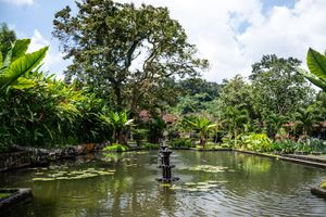 Serene Balinese water garden with lily pond, stone fountain, lush tropical greenery, and traditional temple structures under blue sky.