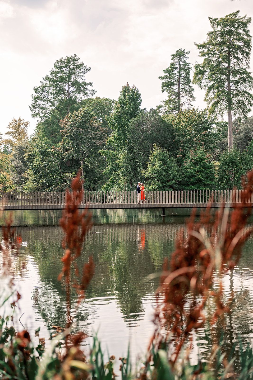 Couple standing on a wooden bridge over a calm lake surrounded by lush green trees in a scenic park.