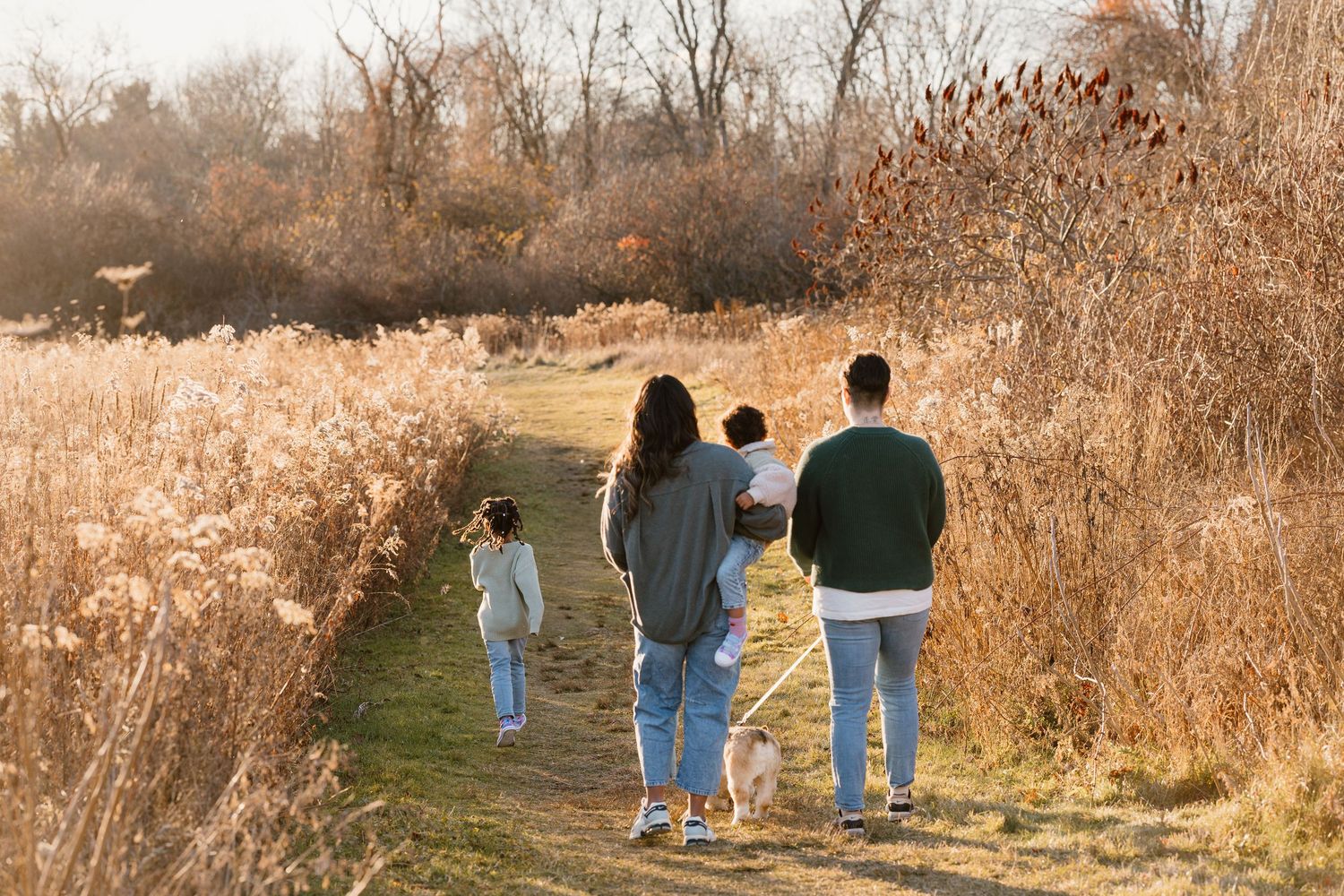 Family walking together on a scenic autumn trail surrounded by golden tall grasses and dried reeds with a small dog.