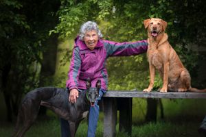 Dog photoshoot Oxford
Professional dog photographer Oxford.
Dog photographer near me
Reactive dog photographer
Dog photoshoot price