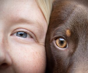 Dog photoshoot Oxford
Professional dog photographer Oxford.
Dog photographer near me
Reactive dog photographer
Dog photoshoot price