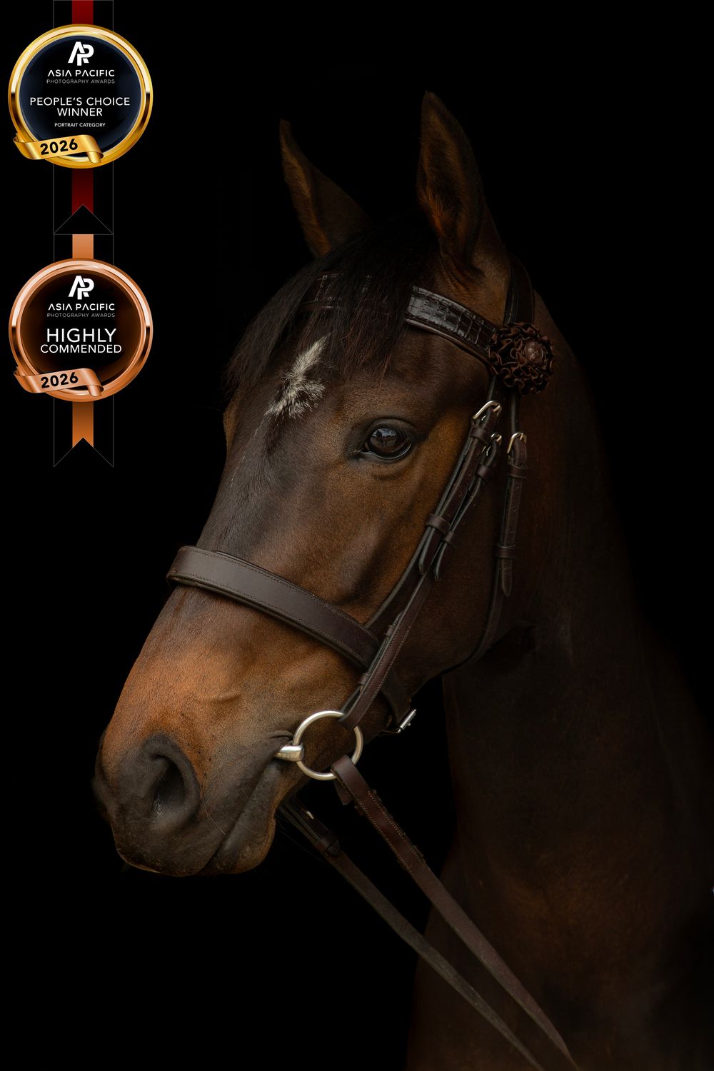 Highly commended & Peoples Choice Award
