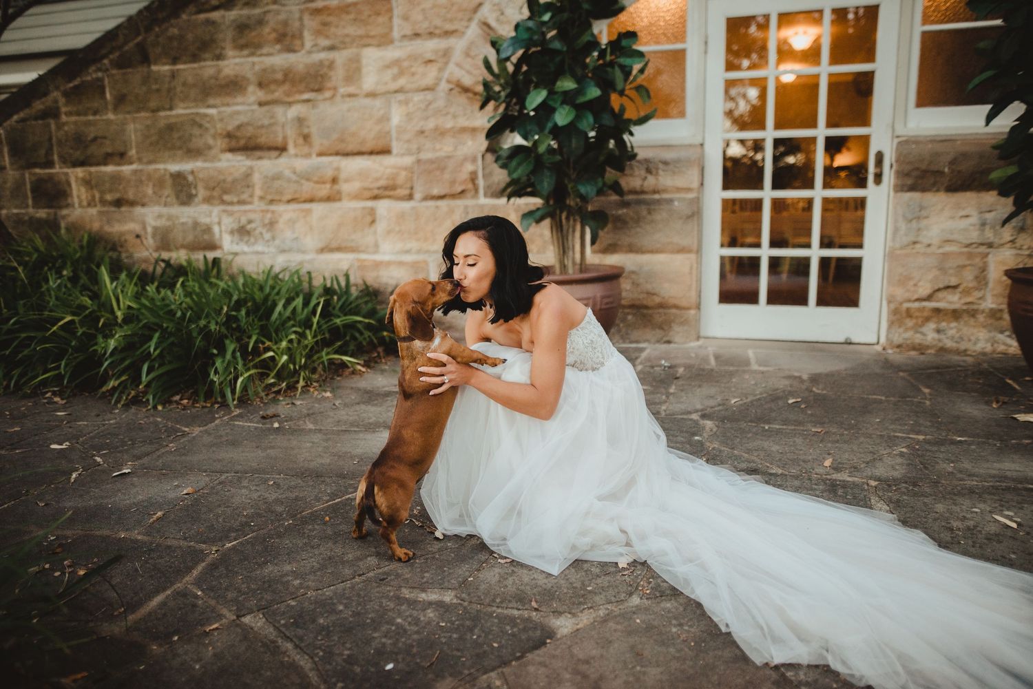 Bride in white gown sitting on stone patio being greeted by an excited small brown dog.