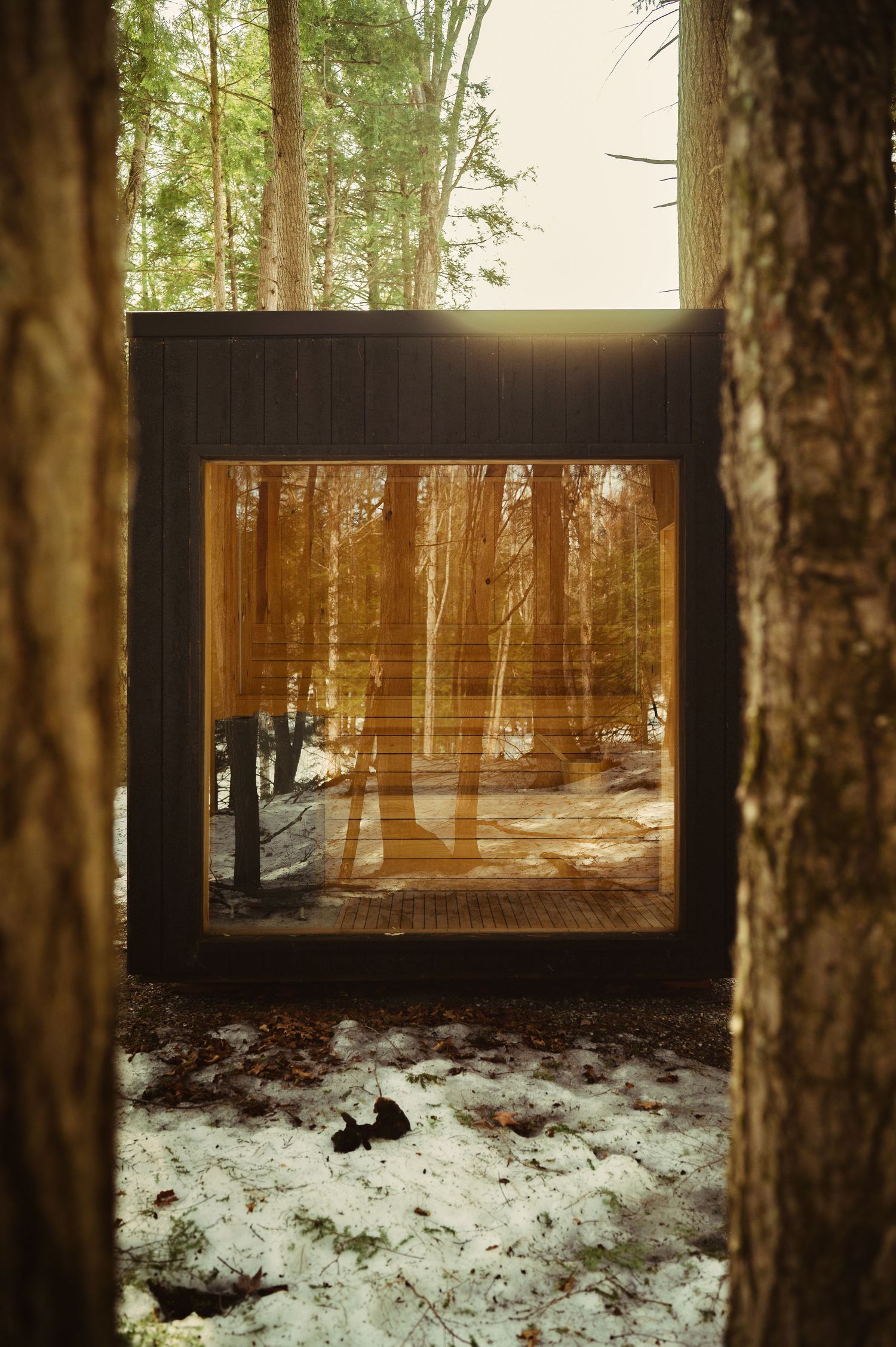 Dark modern cabin with large glass window in snowy forest, warm golden light reflecting through trees.