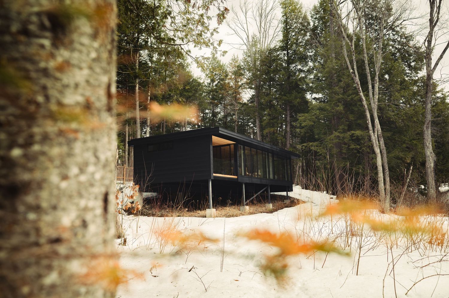 Modern black cabin nestled among bare winter trees in a snowy forest landscape.