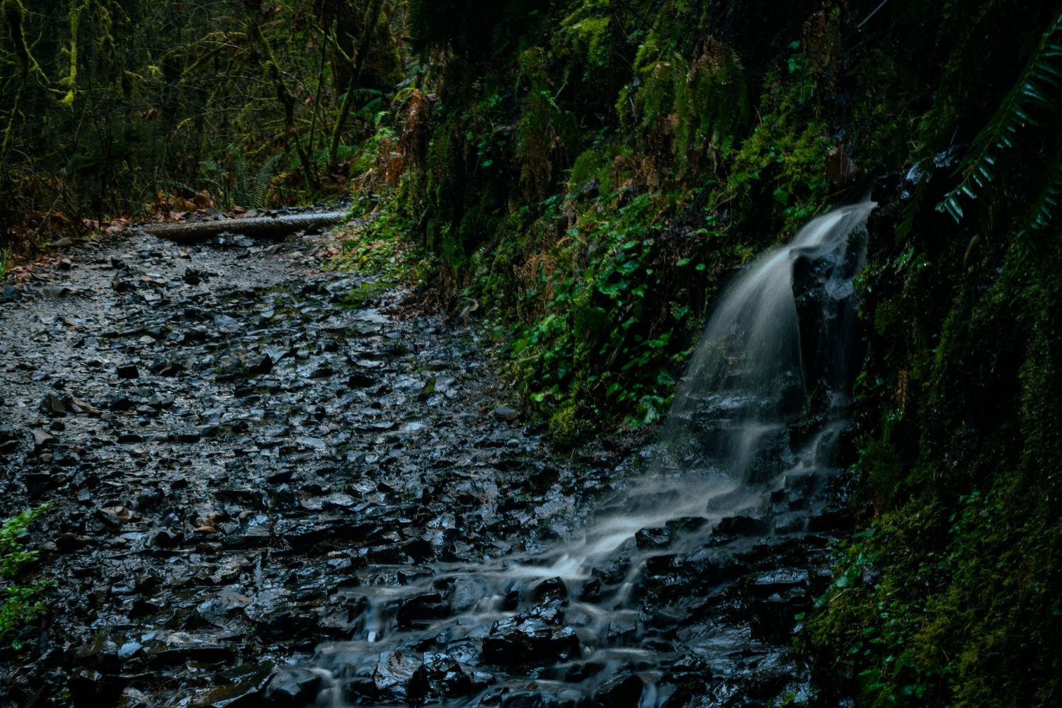 Nature Photos