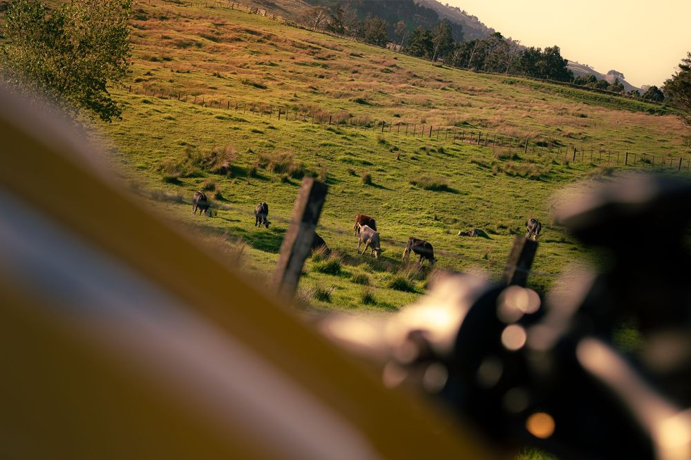 Clean, crisp mirror shot with mountains in the background during golden hour