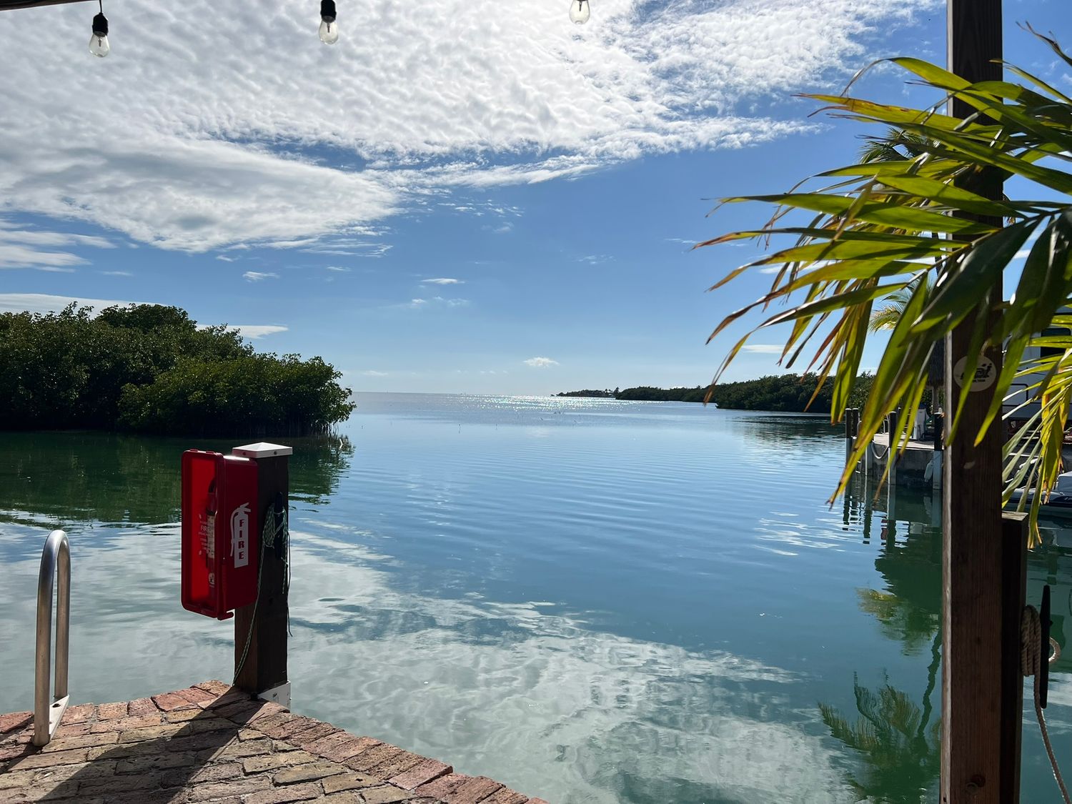 A tranquil waterfront view with calm blue waters, mangroves, and a red trash bin on a sunny dock.