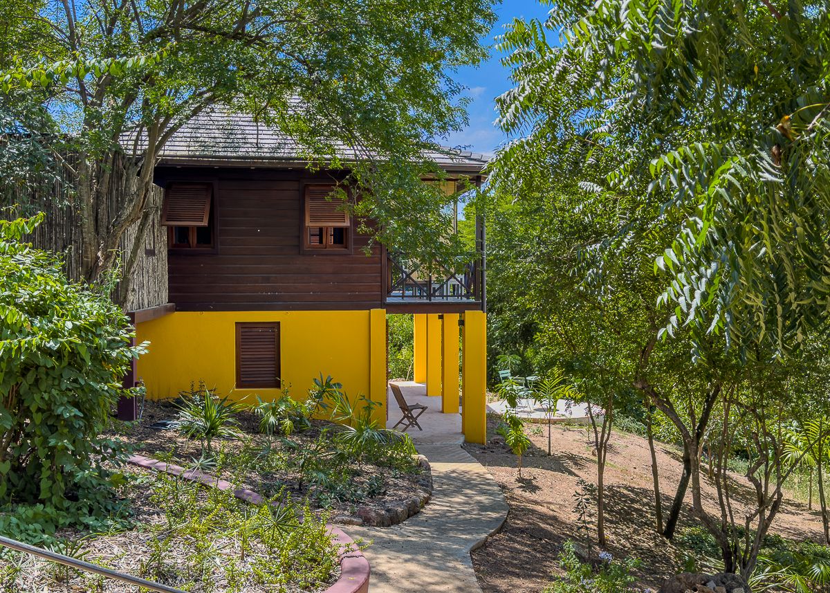 Vibrant yellow and dark wood two-story tropical house surrounded by lush green trees and landscaped garden paths.