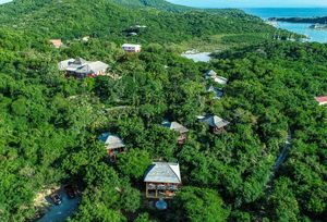 Aerial view of a lush tropical resort nestled among dense green trees near a coastal bay.