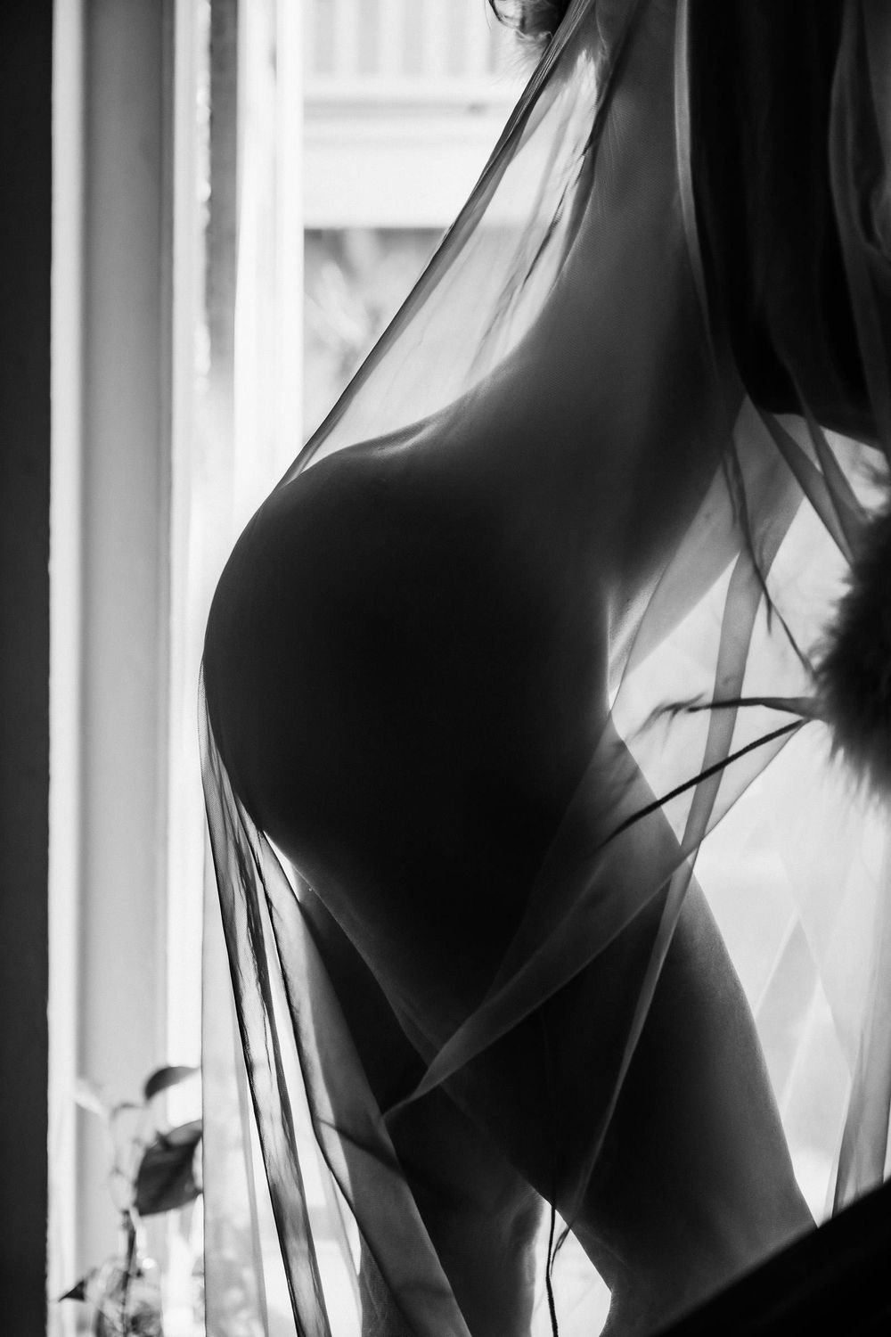 New Orleans Boudoir Photography - Black and white silhouette of a pregnant woman draped in sheer fabric standing by a window.