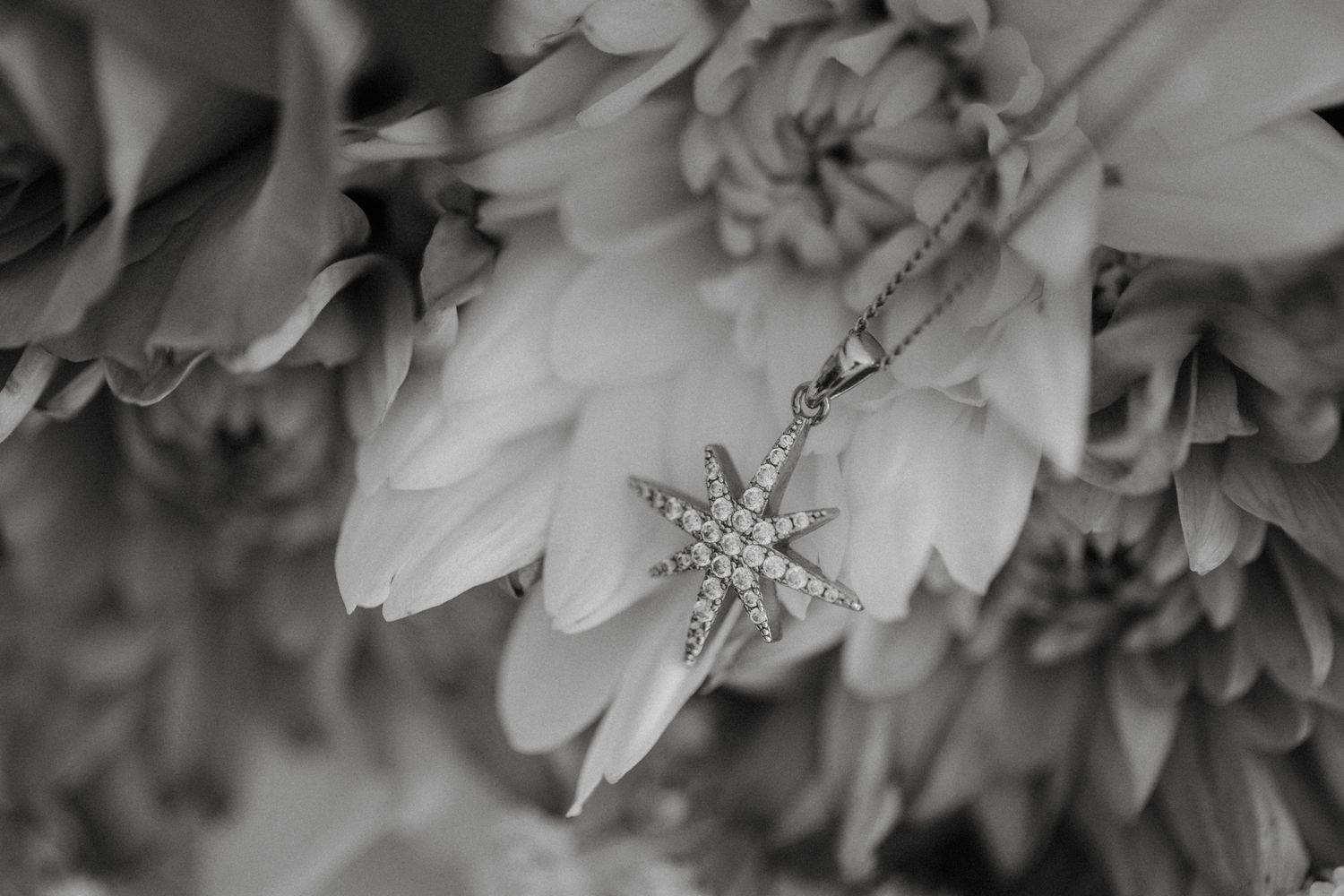 Black and white photo of a sparkling star-shaped diamond pendant necklace resting on soft floral blooms.