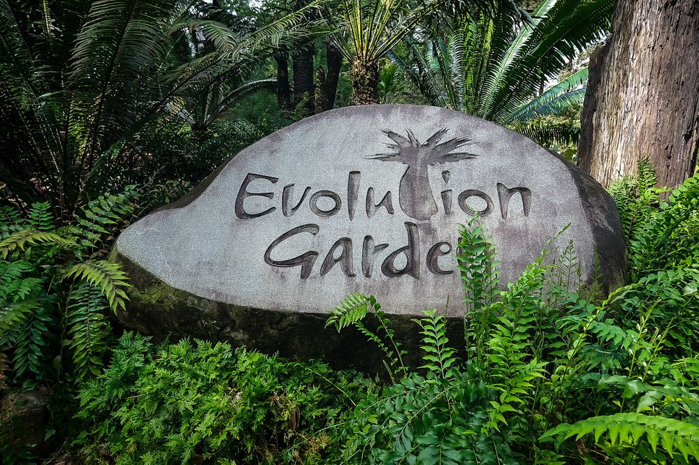 Stone sign reading Evolution Garden surrounded by lush tropical ferns and green foliage in a botanical garden.