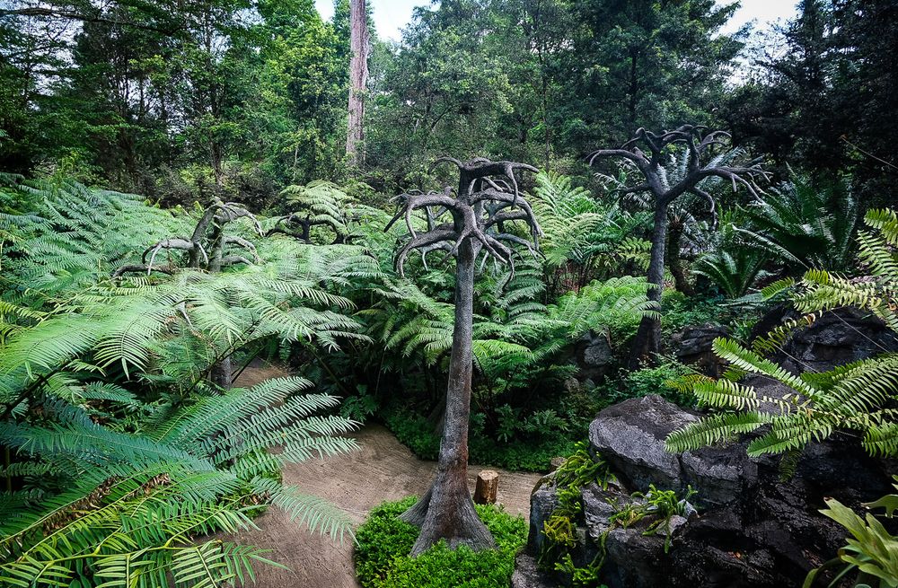 Aerial view of lush Evolution Garden featuring ancient tree ferns, moss-covered rocks, and dense tropical greenery.