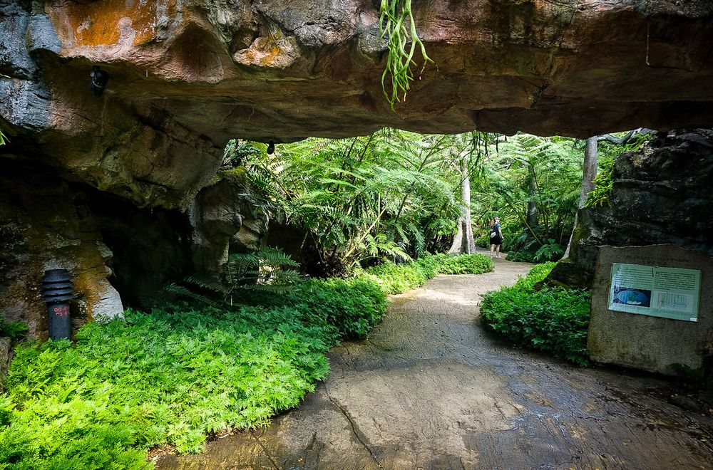 A cave entrance frames a lush tropical garden path with ferns and an informational sign nearby.