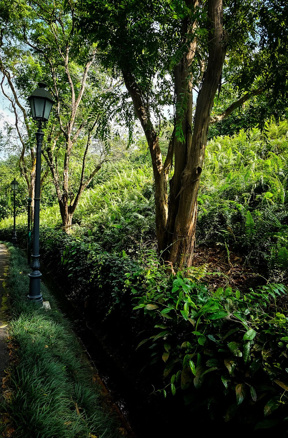 A classic black lamppost stands beside a narrow water channel lined with lush green trees and shrubs.