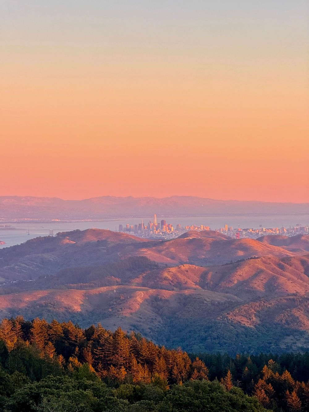 Stunning sunset aerial view of San Francisco skyline glowing orange over rolling green hills of Marin County.