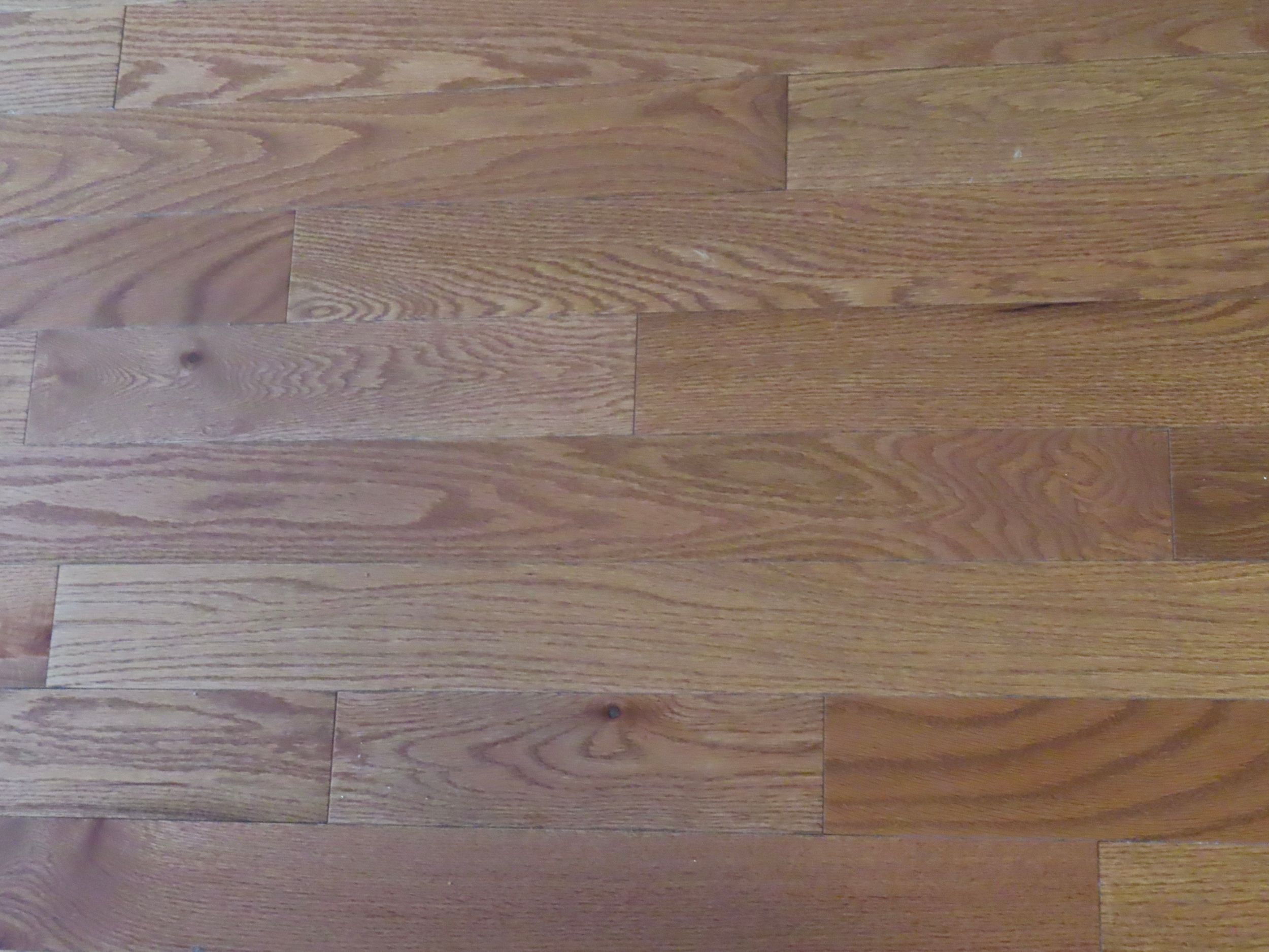 Close-up of smooth golden oak hardwood flooring with natural wood grain texture and warm tones.
