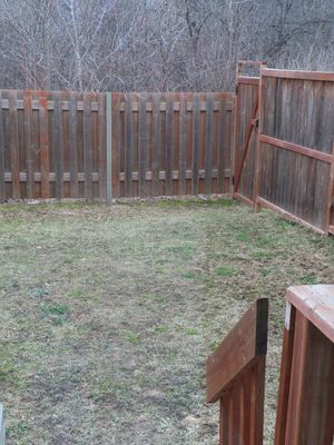 Private backyard with wooden privacy fence, green grass lawn, and wooded tree line in background.
