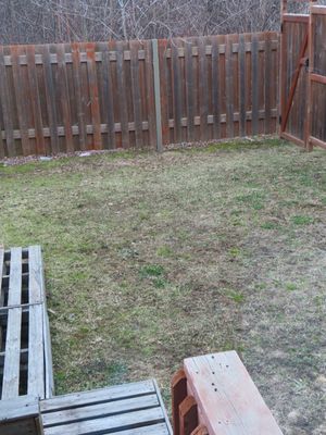 Fenced backyard with wooden privacy fence, sparse lawn, and wooden pallets on ground.