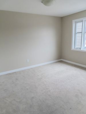 Bright empty bedroom with plush carpet, beige walls, and a single window with natural light.