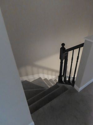 Carpeted staircase with dark wood railing and white walls in a multi-level home.
