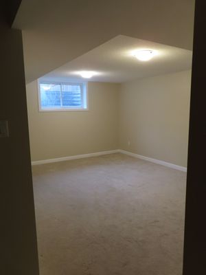 Spacious empty basement room with beige carpet, sloped ceiling, small window, and neutral painted walls.