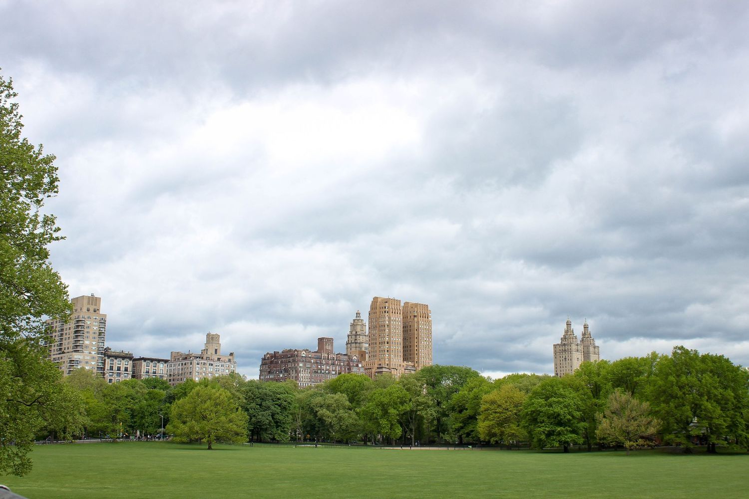 Green lawn in Central Park with iconic Manhattan skyline buildings and dramatic cloudy sky in background.