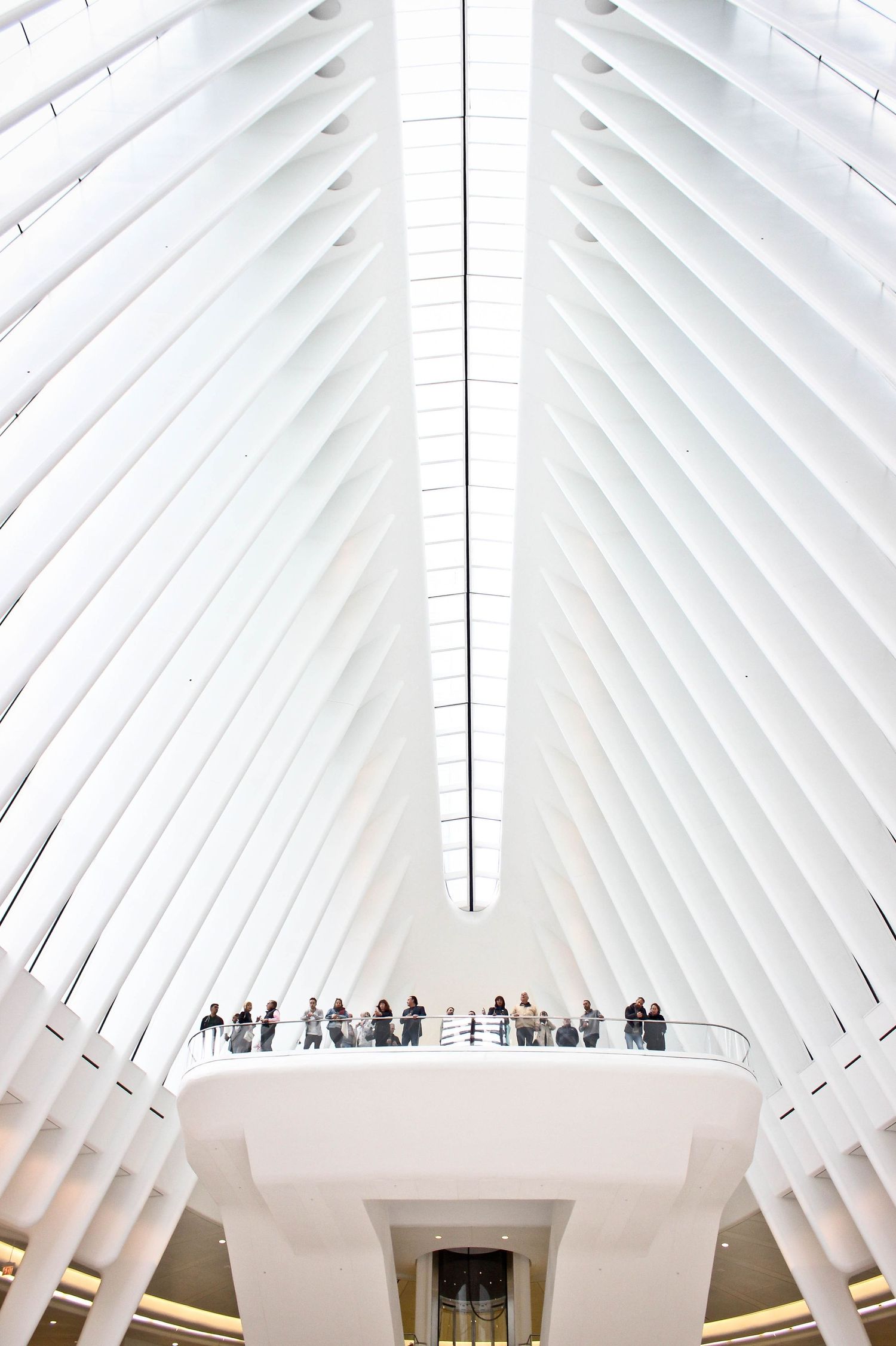 Modern white architectural interior with ribbed ceiling and visitors on elevated platform.