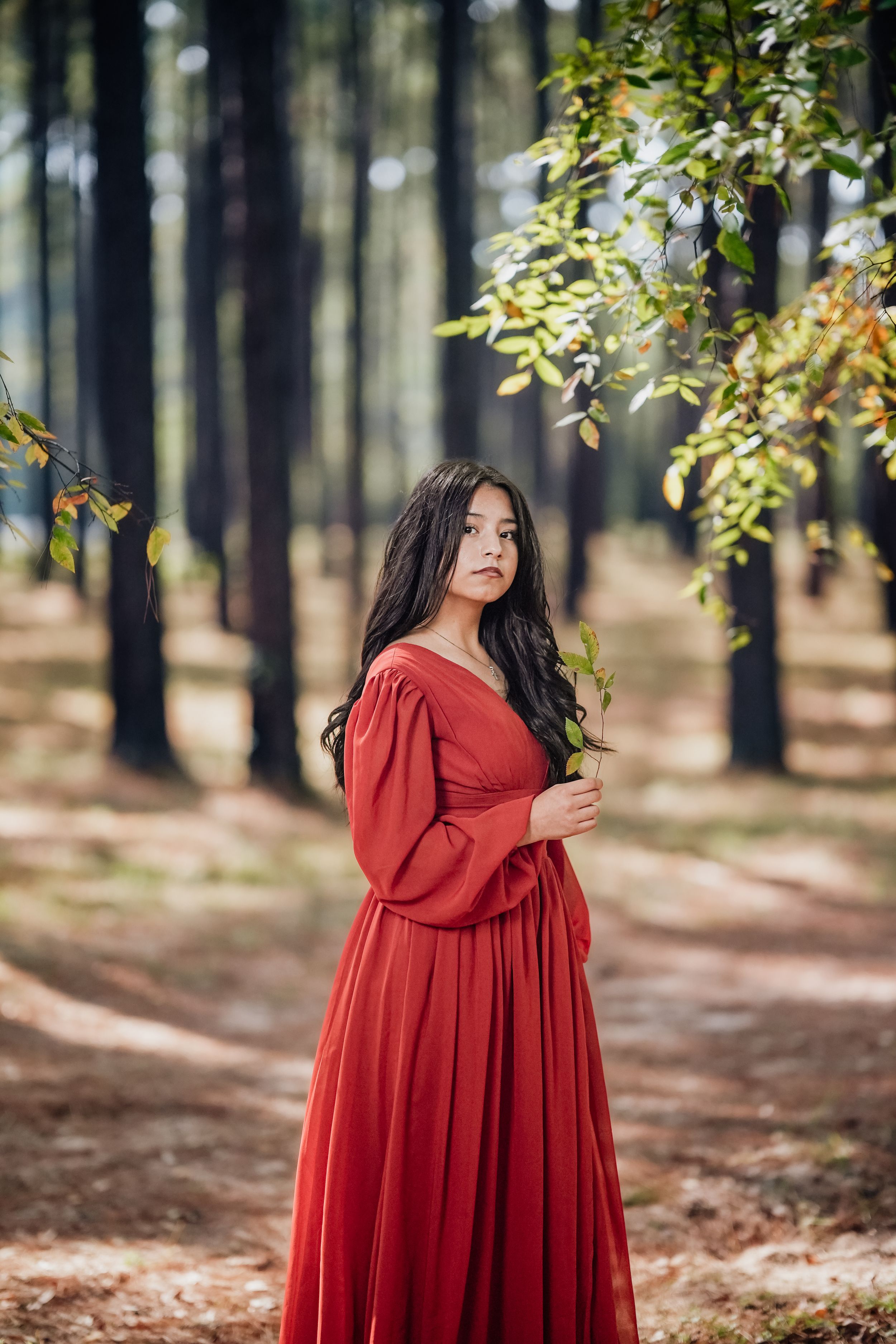 A person in a flowing red dress poses gracefully in a serene forest setting with tall pine trees and scattered leaves.